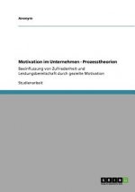 Motivation im Unternehmen - Prozesstheorien