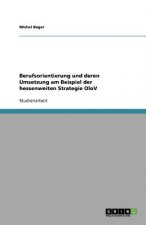 Berufsorientierung und deren Umsetzung am Beispiel der hessenweiten Strategie OloV