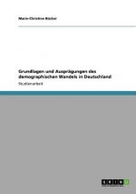 Grundlagen und Auspragungen des demographischen Wandels in Deutschland