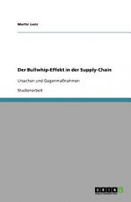 Bullwhip-Effekt in Der Supply-Chain