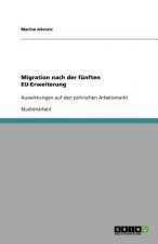 Migration Nach Der F nften Eu-Erweiterung