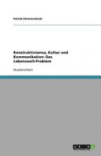 Konstruktivismus, Kultur Und Kommunikation