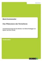 Das Phänomen des Verstehens