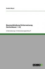 Baumanbindung (Unterweisung Gartenbauer / -in)