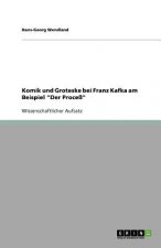 Komik und Groteske bei Franz Kafka am Beispiel Der Process