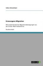 Erzwungene Migration