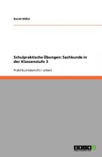 Schulpraktische UEbungen