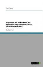 Megacities als Problemfeld der gegenwartigen Urbanisierung in Entwicklungslandern