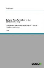 Cultural Transformation in the Consumer Society