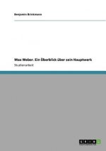 Max Weber. Ein UEberblick uber sein Hauptwerk