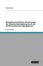 Betriebswirtschaftliche Auswirkungen der Zinsschrankenregelung durch das Wachstumsbeschleunigungsgesetz