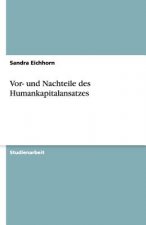 Vor- Und Nachteile Des Humankapitalansatzes