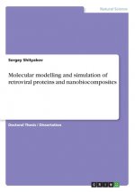 Molecular modelling and simulation of retroviral proteins and nanobiocomposites