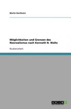 Moeglichkeiten und Grenzen des Neorealismus nach Kenneth N. Waltz