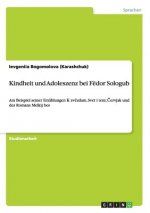 Kindheit und Adoleszenz bei Fedor Sologub