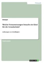 Welche Voraussetzungen braucht ein Kind fur die Grundschule?