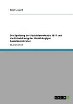 Spaltung der Sozialdemokratie 1917 und die Entwicklung der Unabhangigen Sozialdemokraten