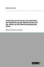Anteil des permanenten Sexualtriebes, der Sublimierung, der Nachstenliebe und der Arbeit an der Menschwerdung des Affen