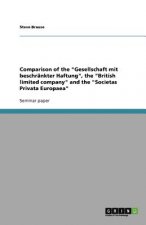 Comparison of the Gesellschaft Mit Beschr nkter Haftung, the British Limited Company and the Societas Privata Europaea
