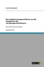 Arbeitsvertragsverhaltnis aus der Perspektive der Verfugungsrechtstheorie