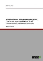 Wissen und Macht in der Adoleszenz in Musils Die Verwirrungen des Zoeglings Toerless