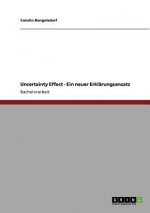 Uncertainty Effect - Ein neuer Erklärungsansatz