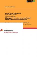 Schweppes - how the beverage brand affects UK's consumer behaviour