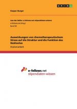 Auswirkungen von chemotherapeutischem Stress auf die Struktur und die Funktion des Nukleolus