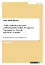 Herausforderungen von Luftfrachtgesellschaften mit eigenen Flugzeugen im Zuge der Weltwirtschaftskrise
