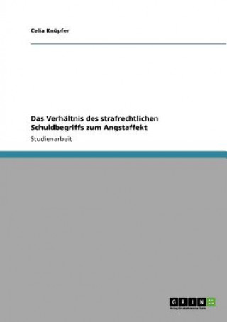 Verhaltnis Des Strafrechtlichen Schuldbegriffs Zum Angstaffekt