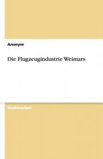 Die Flugzeugindustrie Weimars