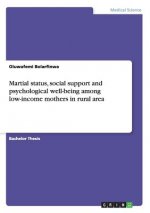 Martial status, social support and psychological well-being among low-income mothers in rural area