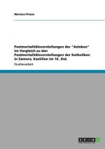 Postmortalitatsvorstellungen der Azteken im Vergleich zu den Postmortalitatsvorstellungen der Katholiken in Zamora, Kastilien im 16. Jhd.