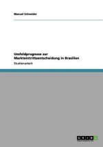Umfeldprognose Zur Markteintrittsentscheidung in Brasilien