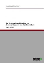 Zur Systematik und Struktur von Membranfassaden und Membranhullen