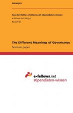 The Different Meanings of Governance