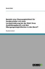 Besteht eine Chancengleichheit fur Sonderschuler mit einer Lernbehinderung bei der Wahl ihres Ausbildungsberufs und den UEbergangsmoeglichkeiten in de