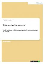 Systemisches Management
