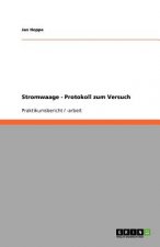 Stromwaage - Protokoll zum Versuch