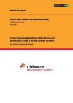 Vision-based pedestrian detection and estimation with a blind corner camera
