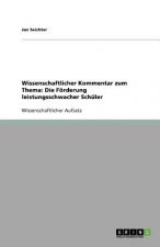 Wissenschaftlicher Kommentar zum Thema