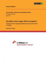 Do public sector wages affect corruption?
