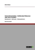 Unternehmenskultur. Schillerndes Phanomen Oder Harte Variable?