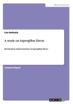 study on Aspergillus flavus