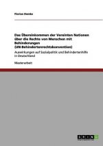 UEbereinkommen der Vereinten Nationen uber die Rechte von Menschen mit Behinderungen (UN-Behindertenrechtskonvention)