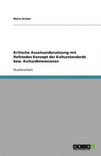 Kritische Auseinandersetzung mit Hofstedes Konzept der Kulturstandards bzw. Kulturdimensionen