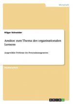 Ansatze zum Thema des organisationalen Lernens