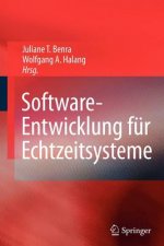 Software-Entwicklung fur Echtzeitsysteme