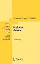 Profinite Groups