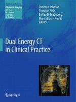 Dual Energy CT in Clinical Practice